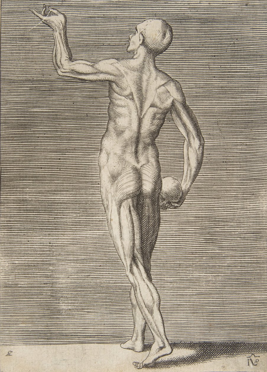 Uomo visto di spalle, con un teschio nella mano destra, XVI secolo da Giulio Bonasone
