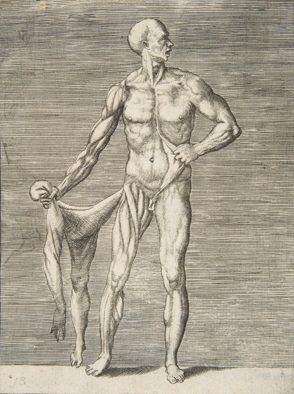 Uomo visto di fronte, che tiene la pelle del braccio destro e della gamba destra nella mano destra, 16° secolo da Giulio Bonasone