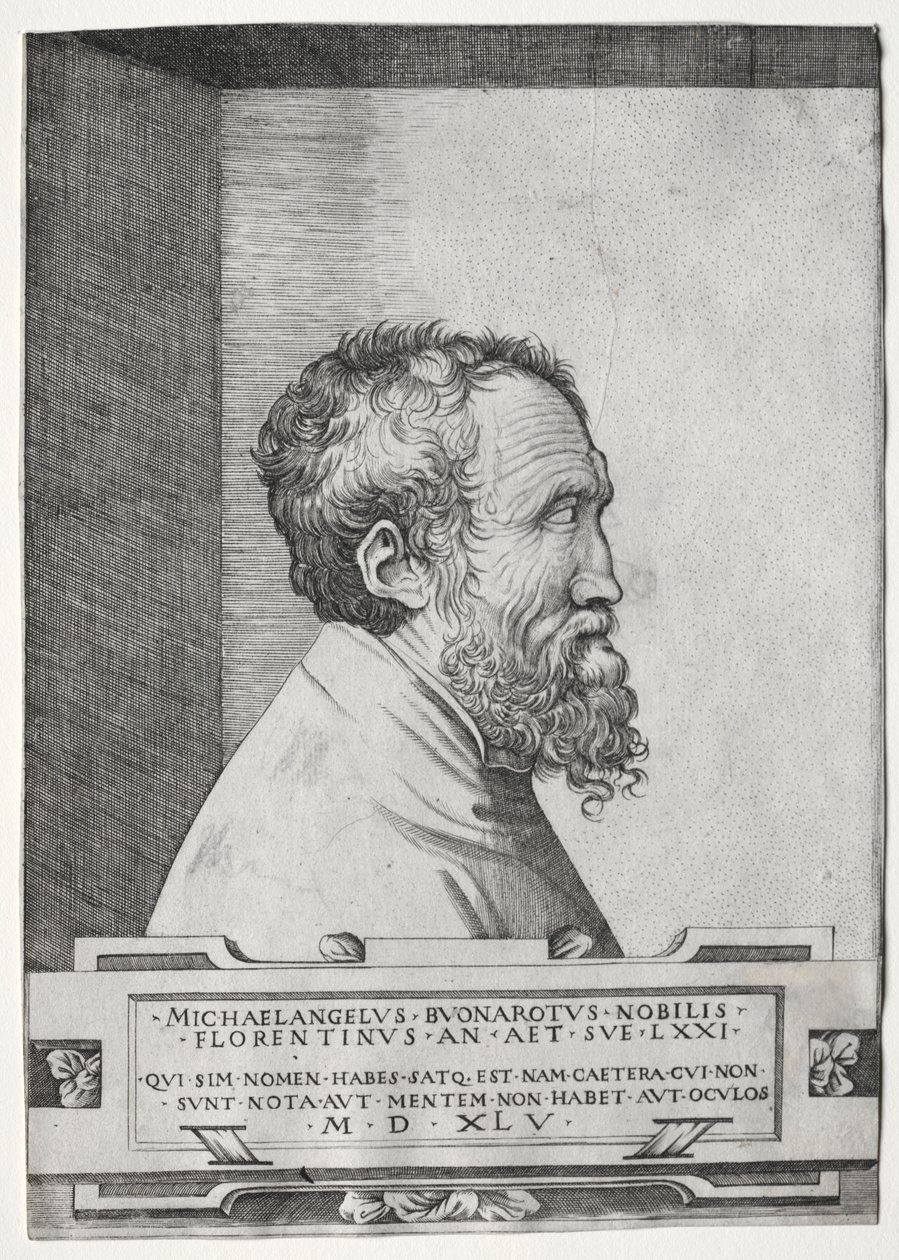 Ritratto di Michelangelo di profilo rivolto a destra da Giulio Bonasone