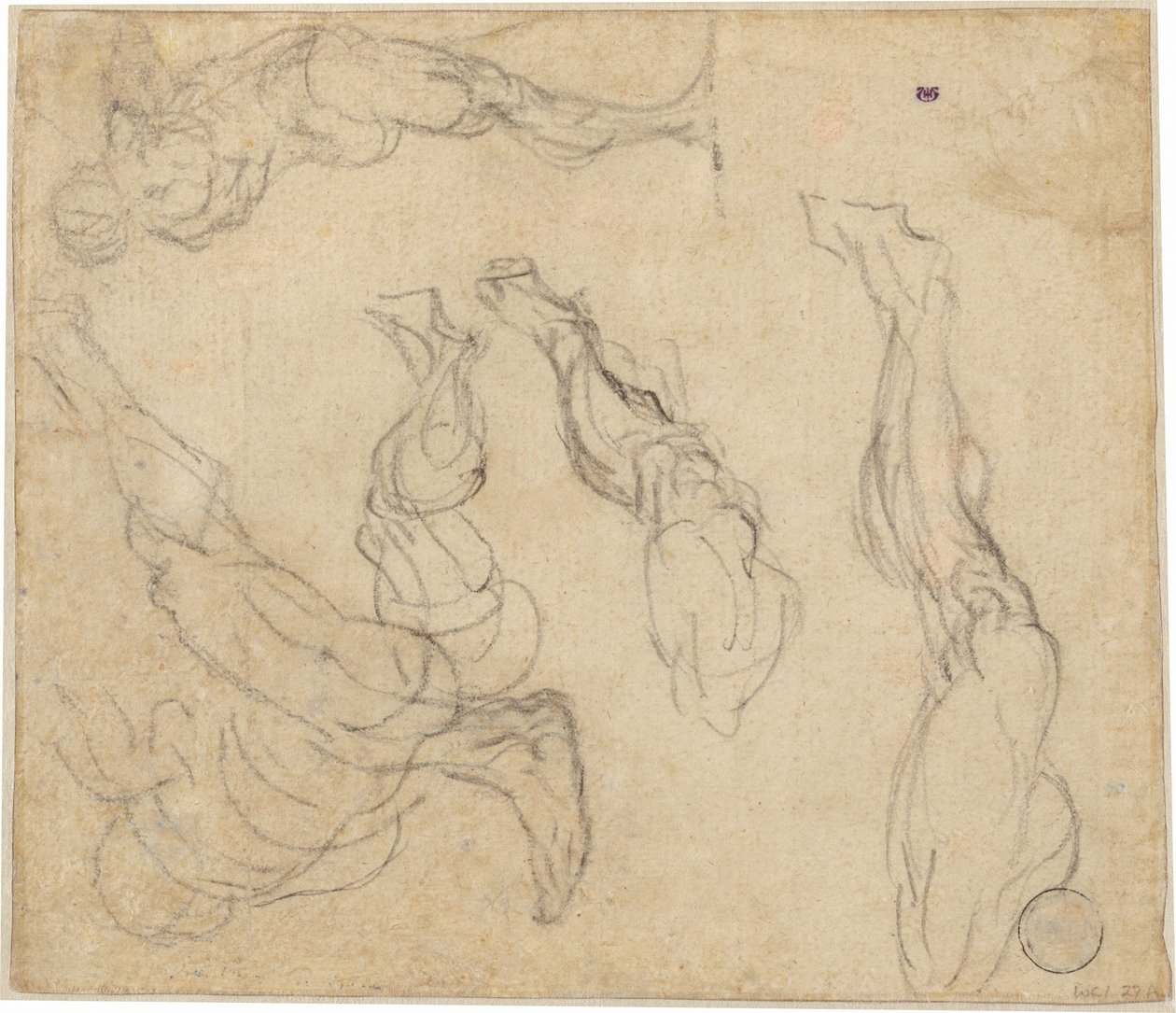 Testa di un ragazzo (verso) da Giulio Campagnola