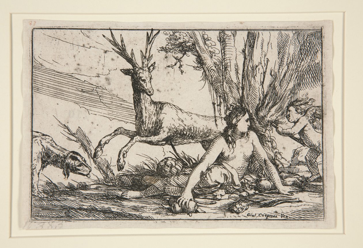 La Terra, dai Quattro Elementi da Giulio Carpioni