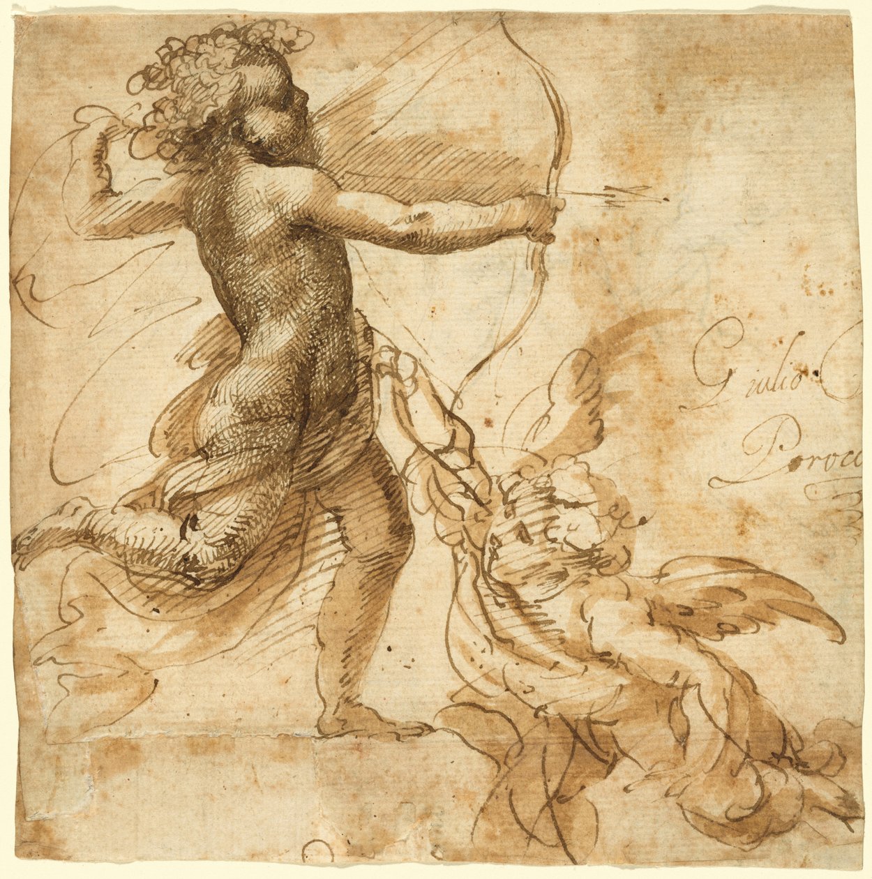 Cupido da Giulio Cesare Procaccini