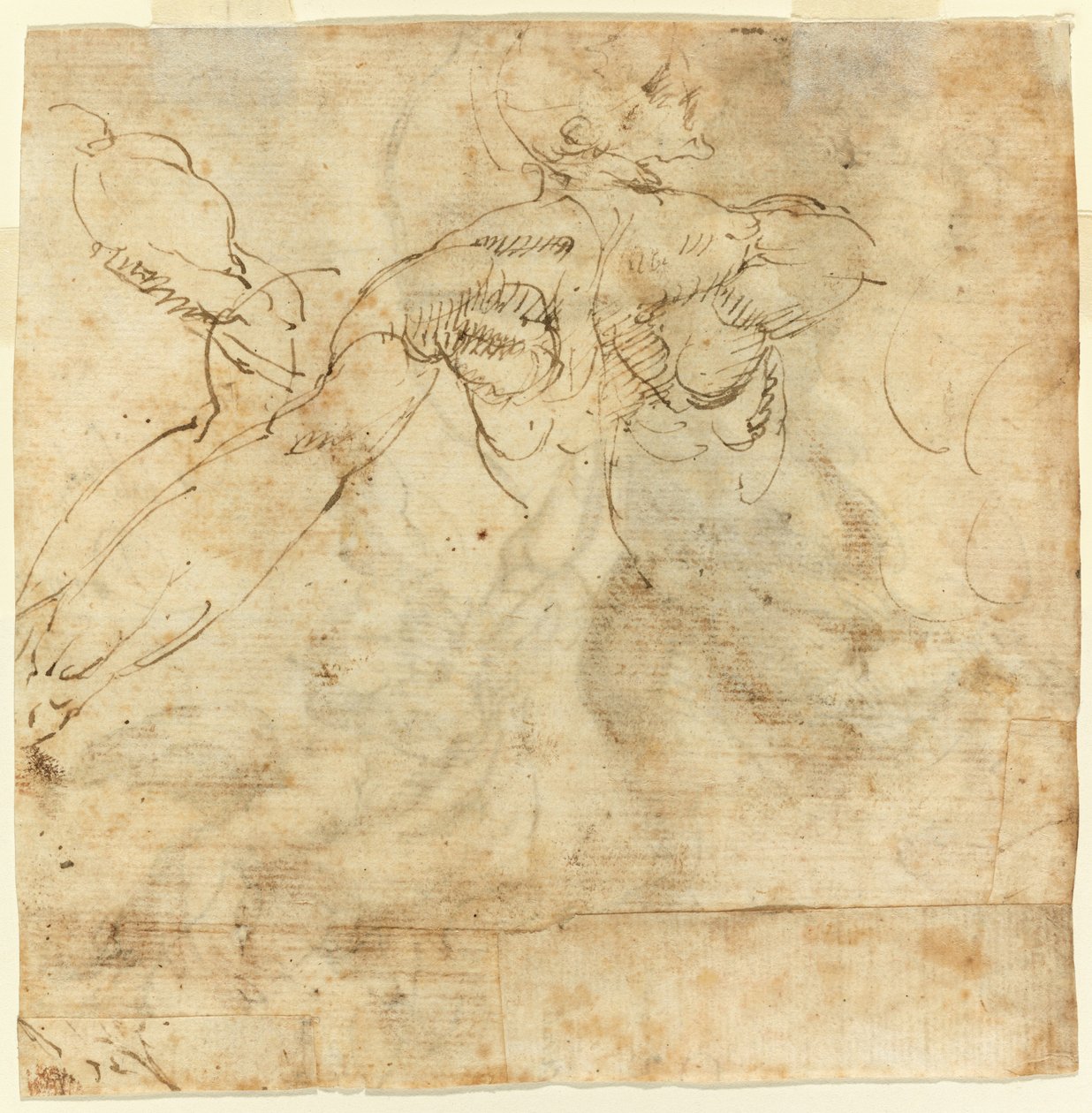 Studio di una schiena | Giulio Cesare Procaccini