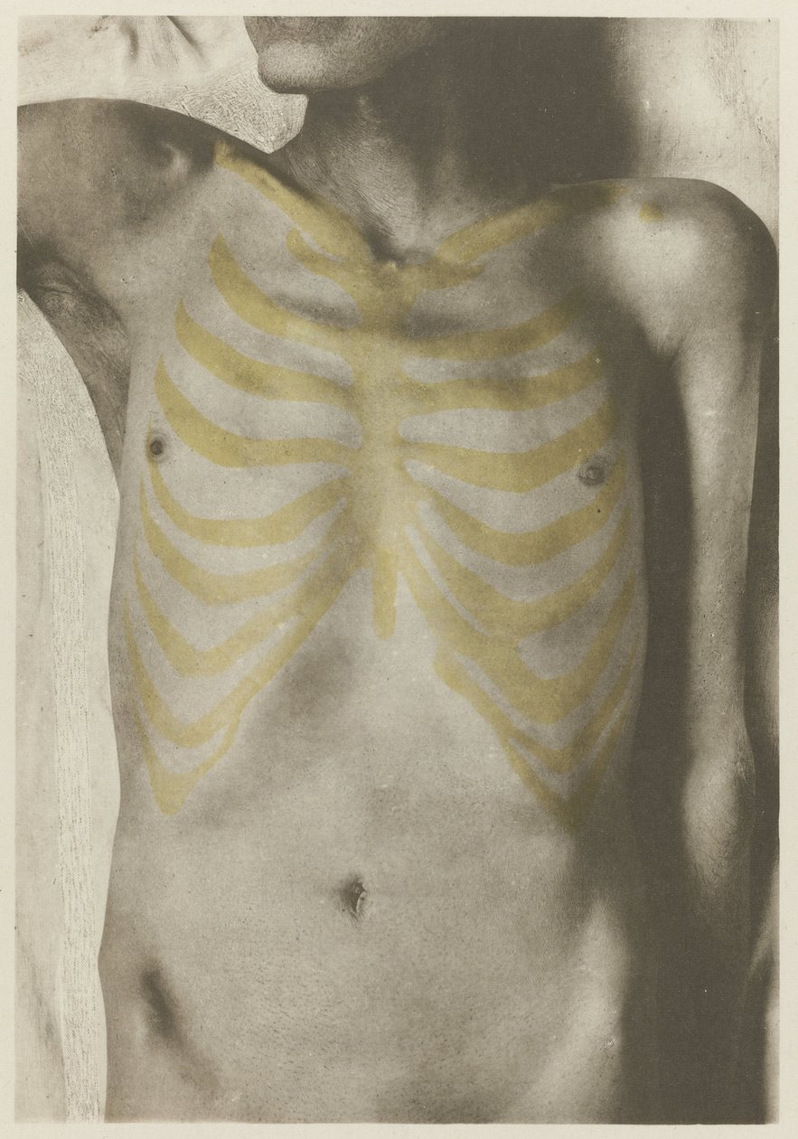 Foto anatomica di un cadavere maschile: 