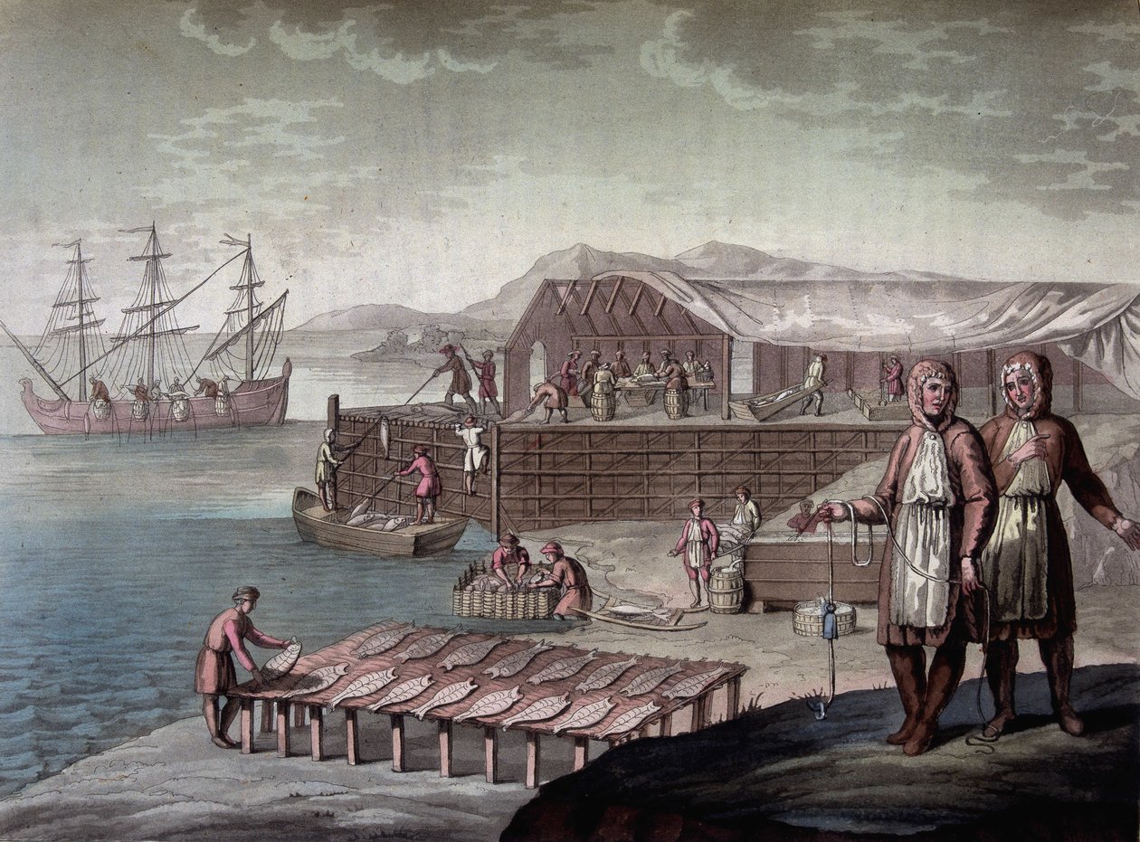 Pesca del merluzzo fatta dagli abitanti di Terranova - in Le costume ancien et moderne di Ferrario, ed. Milano da Giulio Ferrario