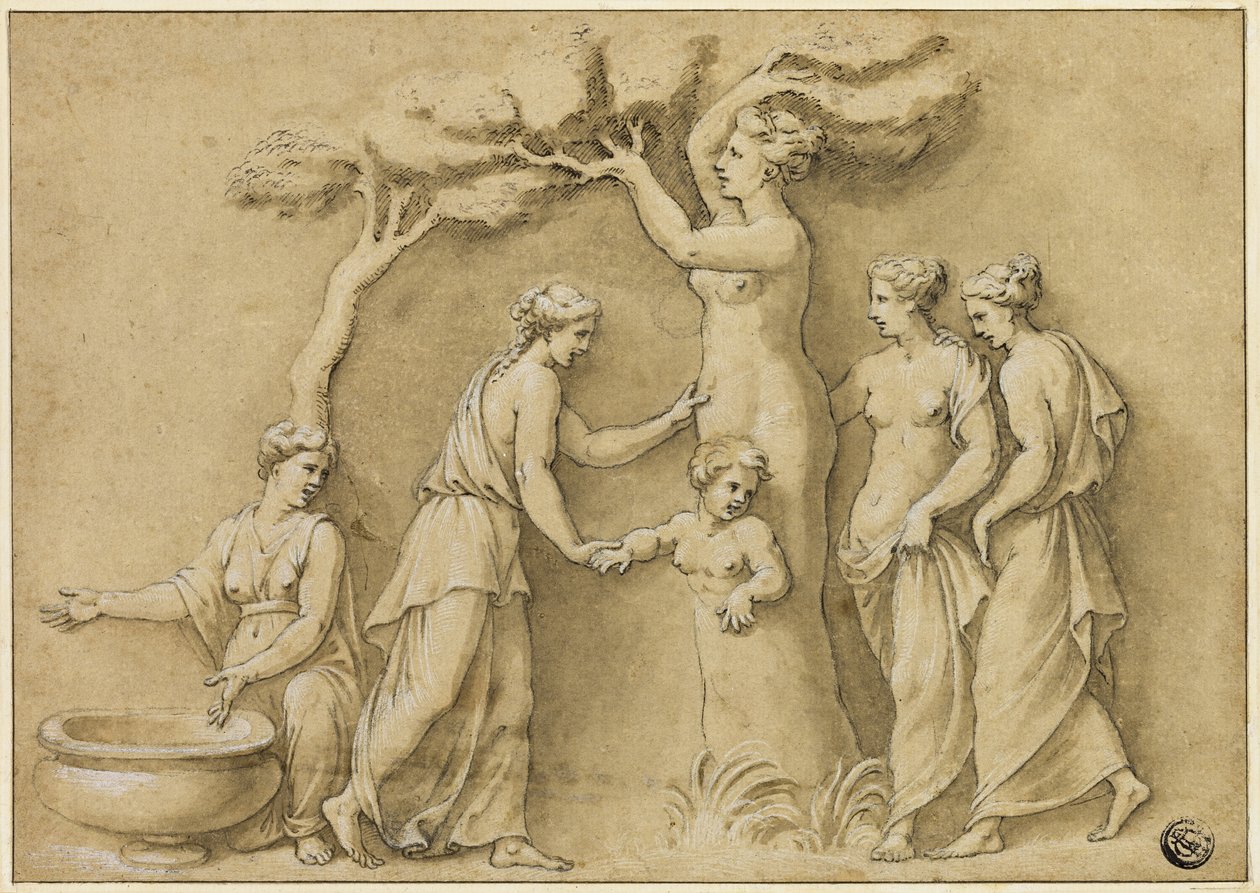 Nascita di Adone da Giulio Romano