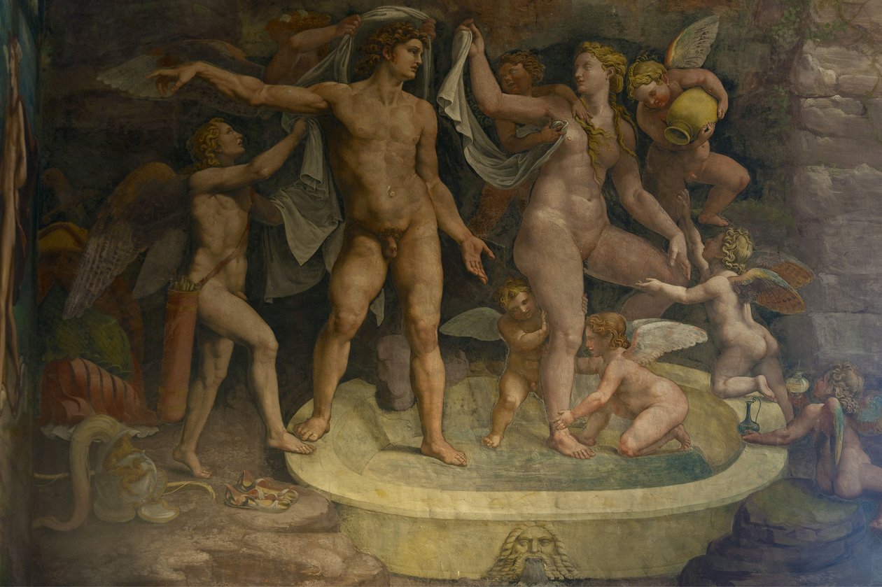 Dettaglio dell
