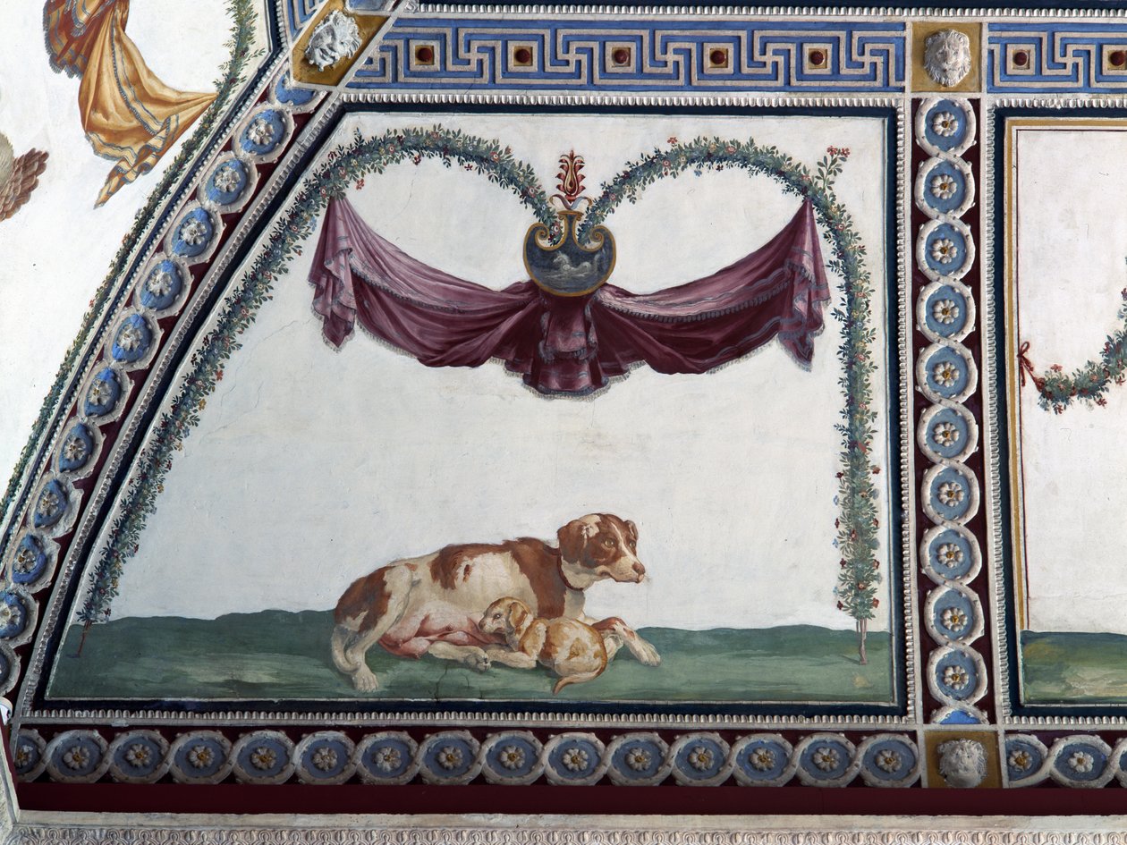 La Camera con Fregio di Amorini (dettaglio di un cane e un cucciolo, 1520s) da Giulio Romano