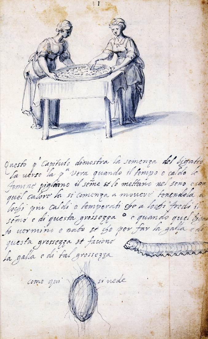 Trattato sulla cultura e la manifattura della seta (Serie di tredici disegni, n. 1) da Giuseppe Arcimboldo