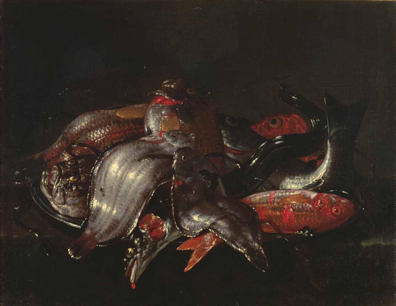 Natura Morta di Pesci, c.1670-80 da Giuseppe Recco