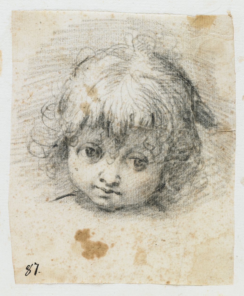 Ritratto di un bambino da Giuseppe Cesari