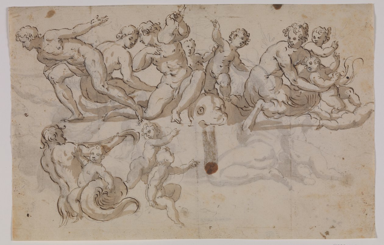 Cavallucci marini, tritoni e putti che cavalcano delfini da Giuseppe Alabardi
