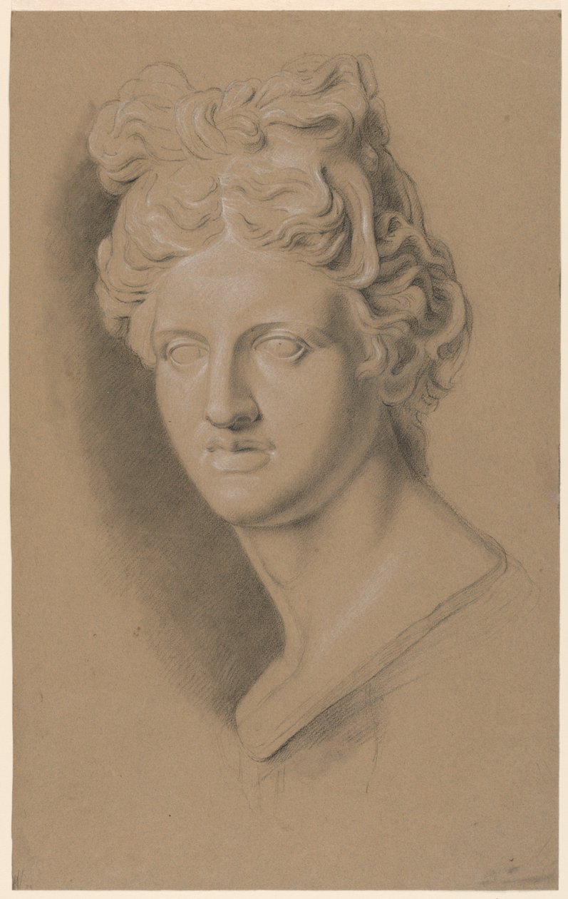 Studio accademico di un busto femminile classico da Giuseppe Longhi