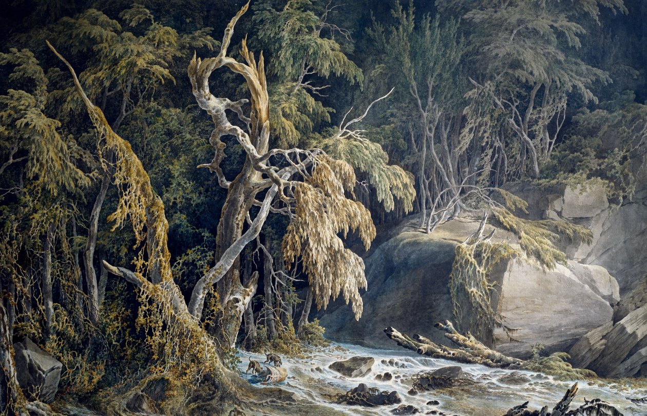 Paesaggio roccioso con alberi sradicati da Giuseppe Pietro Bagetti