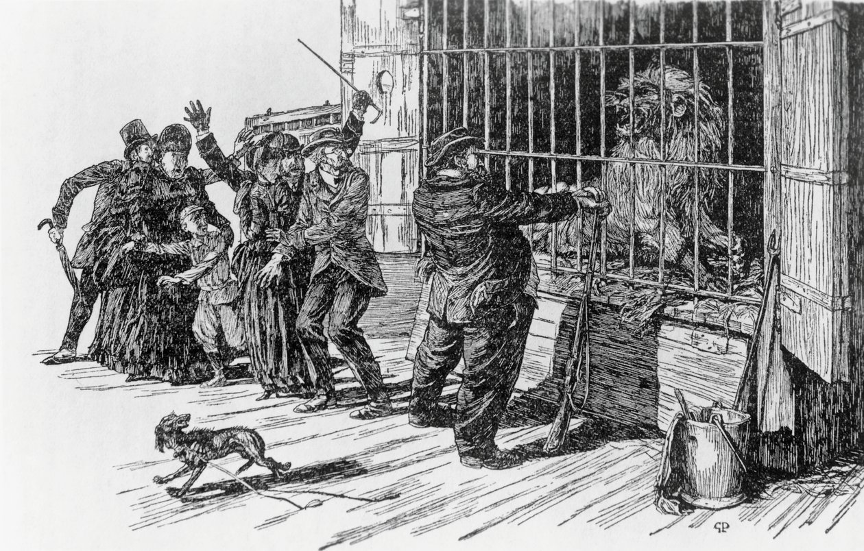 Tartarin e la gabbia del leone, illustrazione per Tartarin sulle Alpi di Alphonse Daudet da Giuseppe Porcheddu