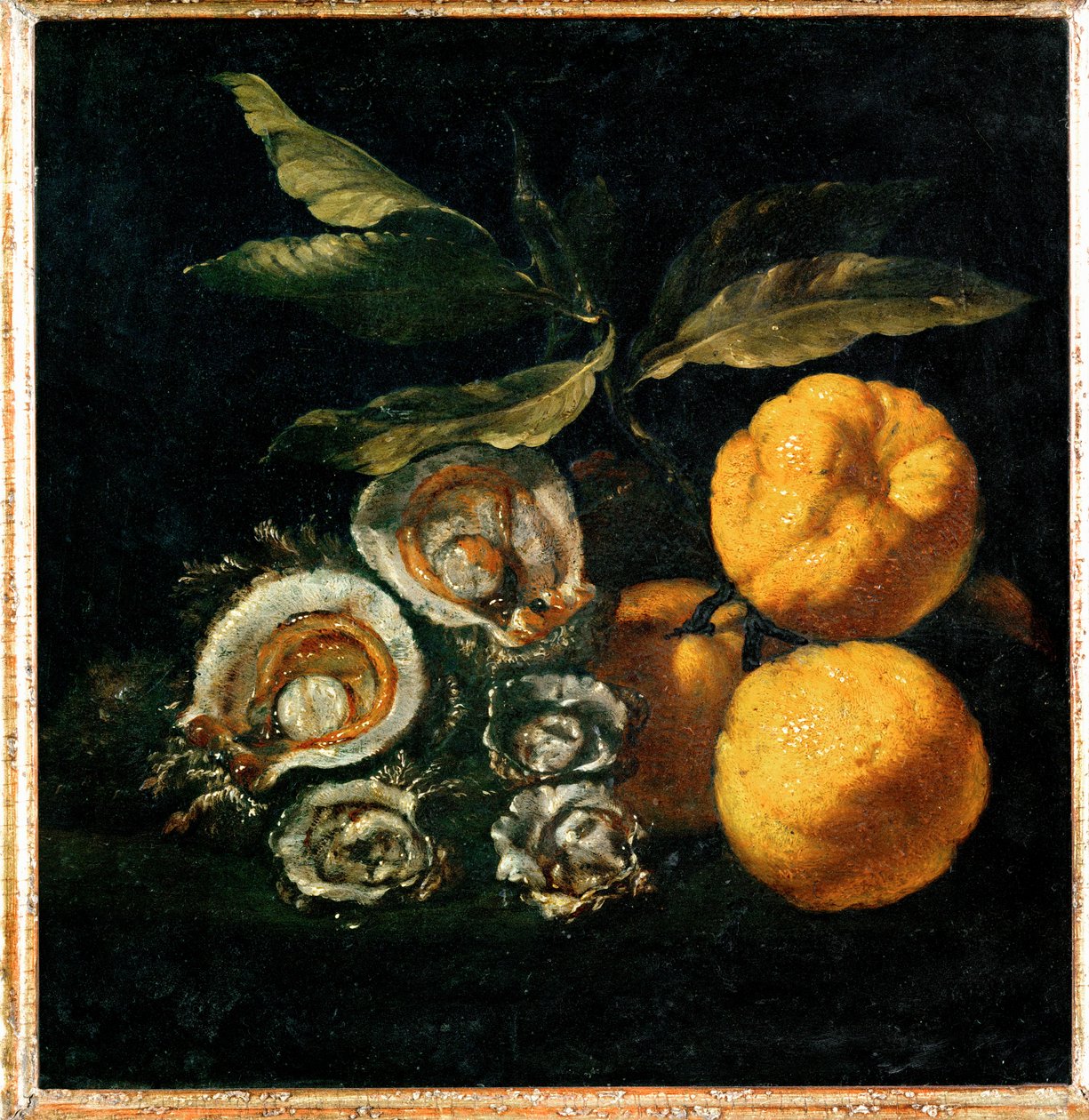 Nature Morte aux huitres et aux coings - Natura morta con ostriche e mele cotogne ... da Giuseppe Recco