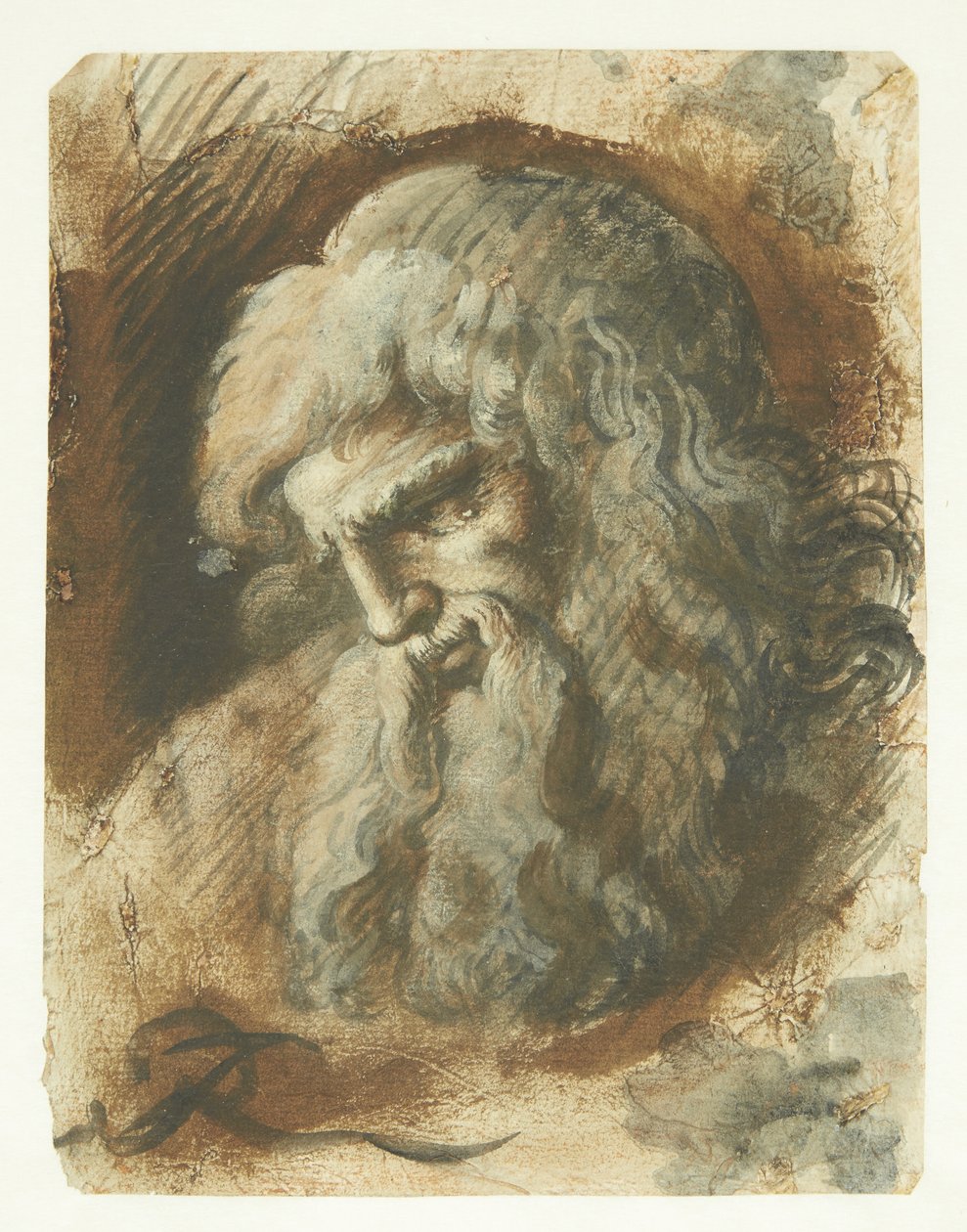 Testa di uomo barbuto di profilo verso sinistra da Giuseppe Ribera