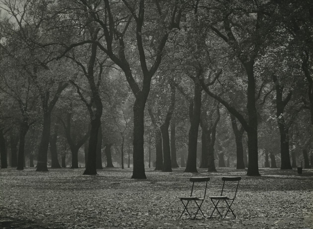 Alberi autunnali a Hyde Park, Londra da Godfrey Macdominic