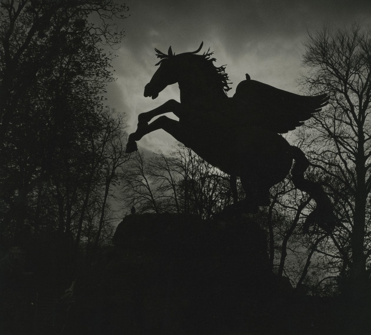 Statua di Pegaso nei Giardini di Mirabell da Godfrey Macdominic