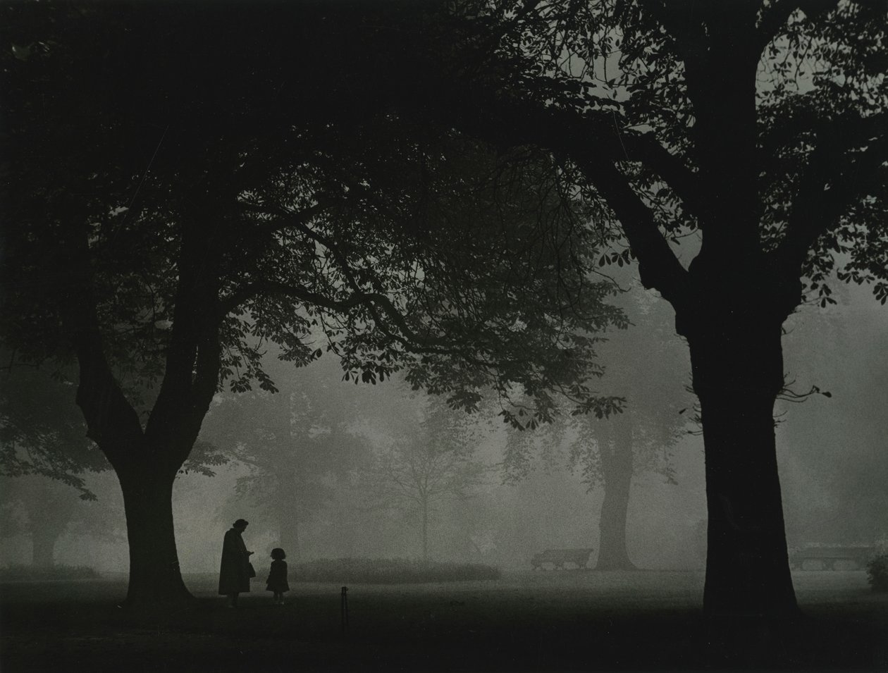 Regents Park, Londra anni 1950 da Godfrey Macdominic