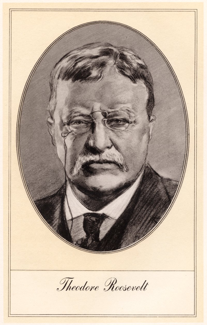 Theodore Roosevelt, 26º Presidente degli Stati Uniti da Gordon Ross
