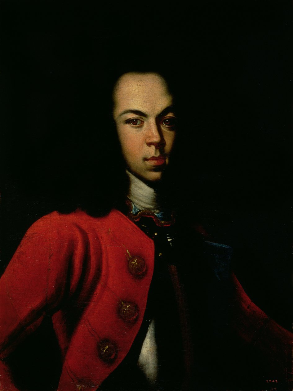 Ritratto dello zarevic Aleksej Petrovič (1690-1718) 1710 da Gottfried Danhauer