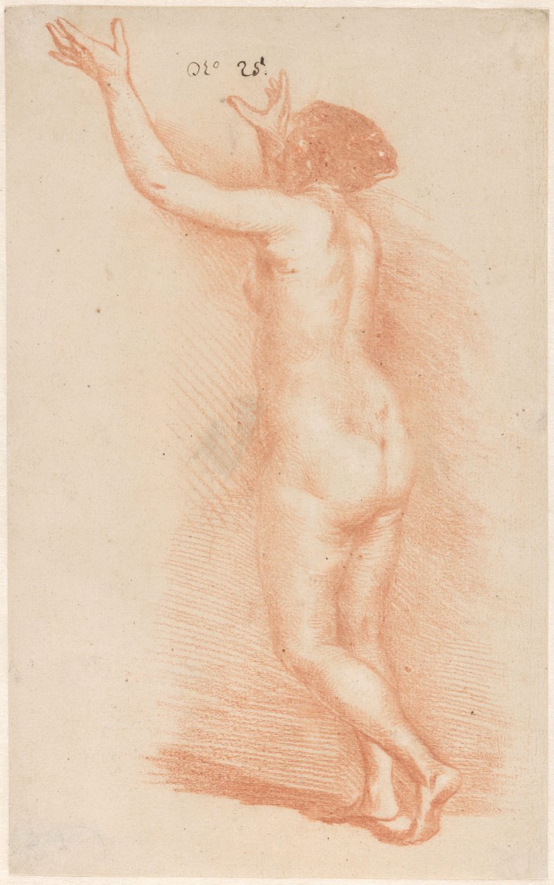 Donna in piedi con le braccia alzate da Govert Flinck (attributed to)