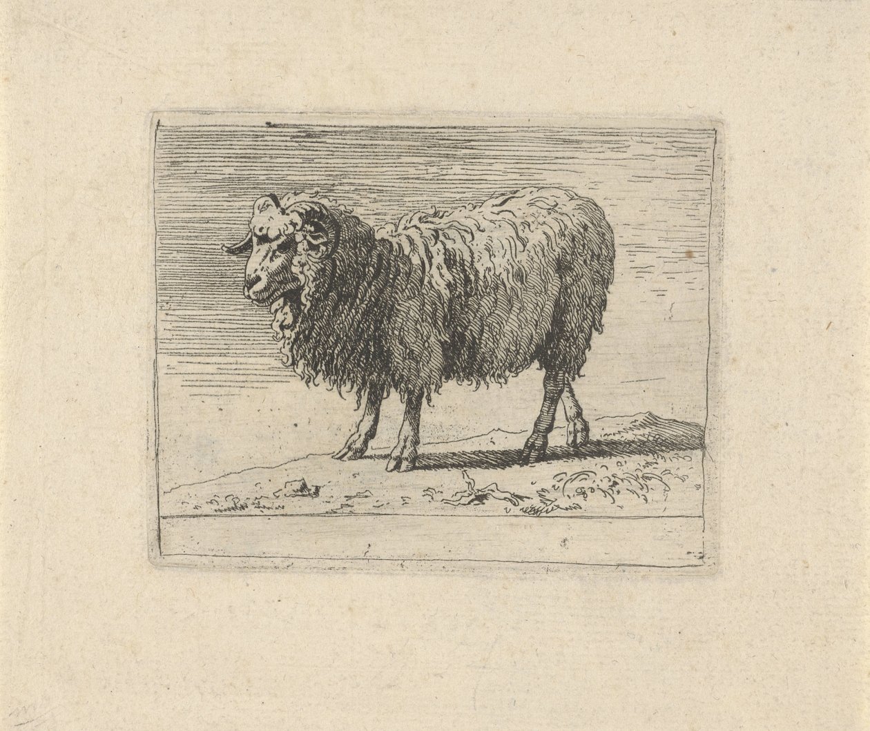Ariete (Diverse animali) da Govert van der Leeuw