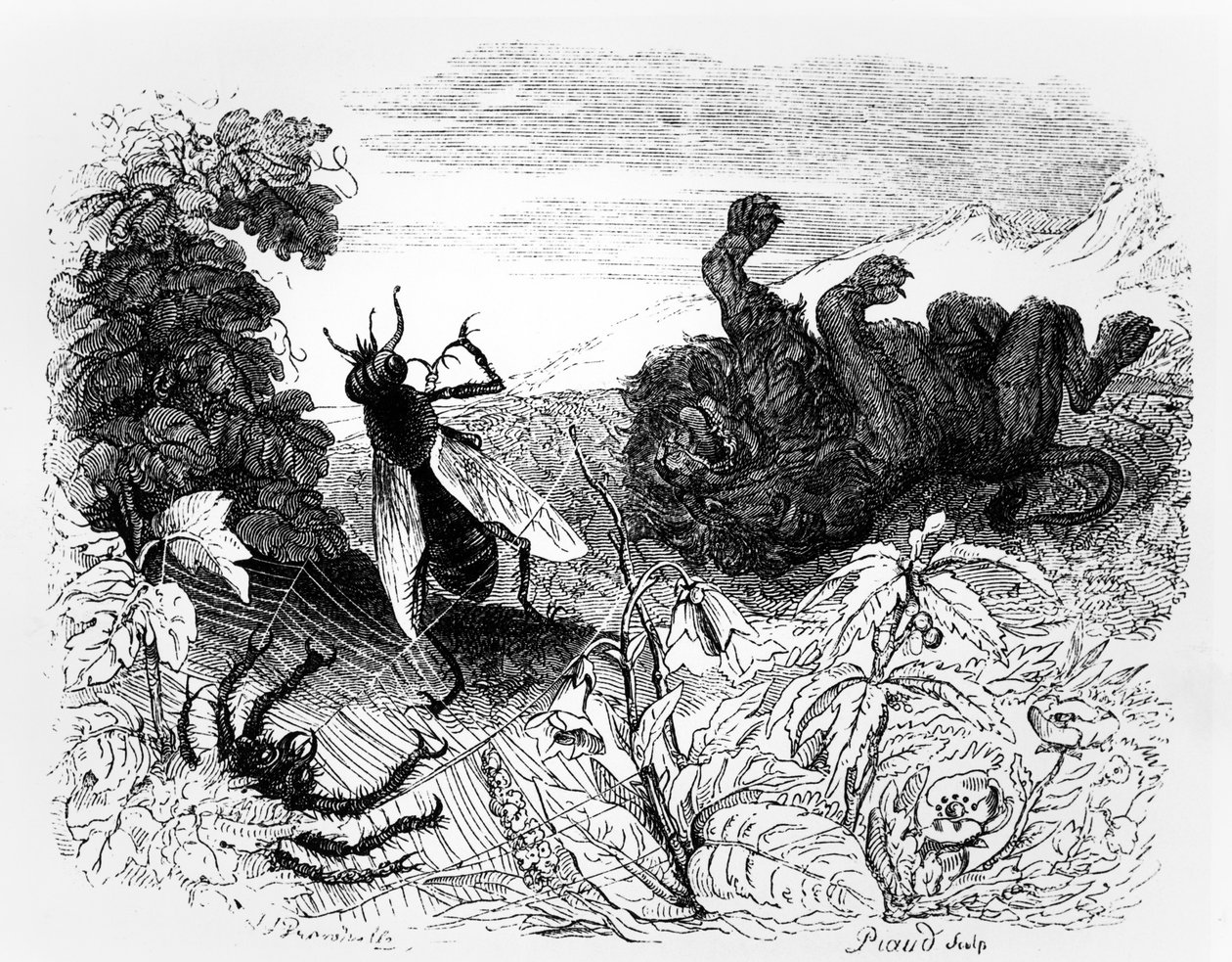 Il leone e il moscerino, illustrazione per 