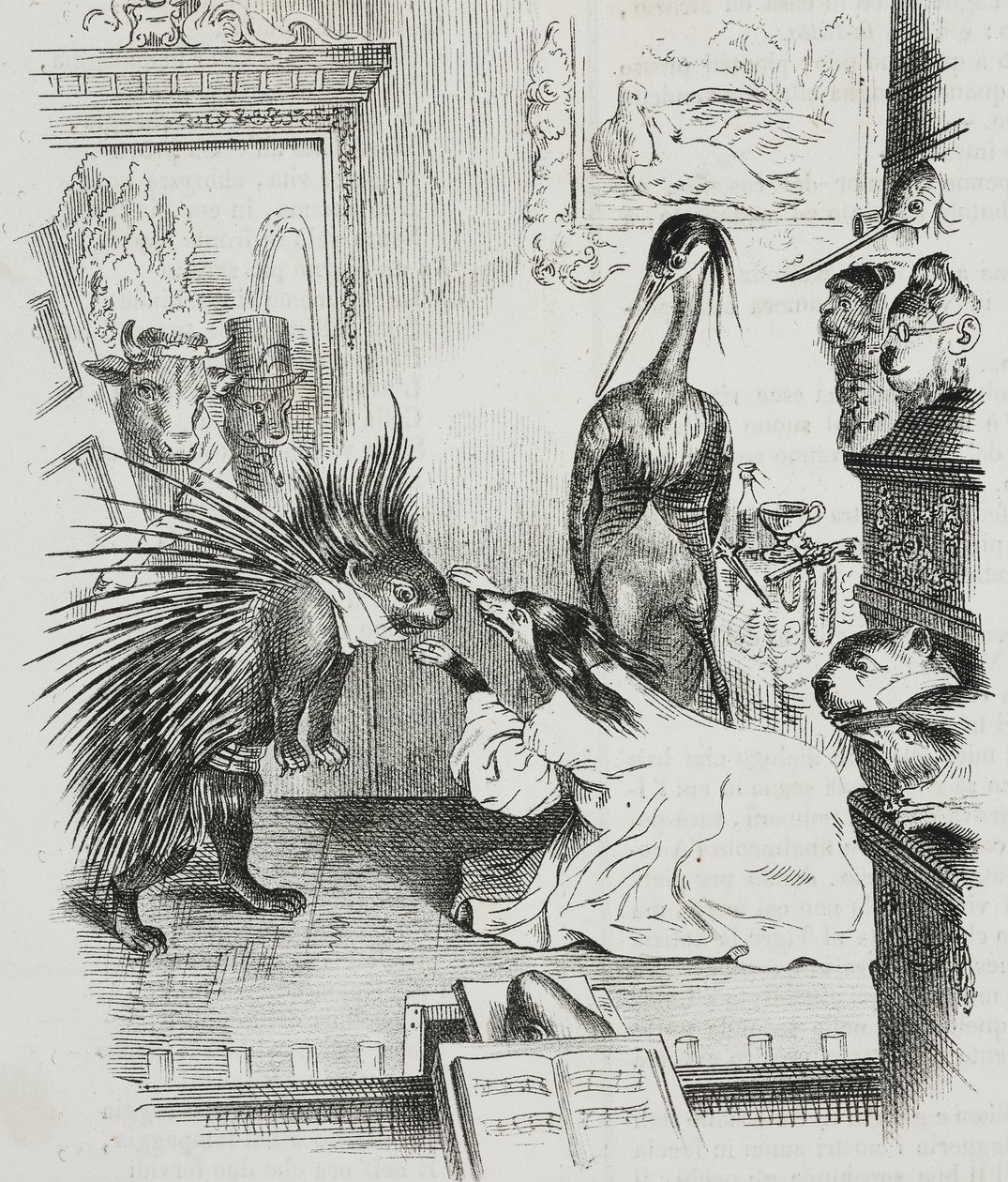 Cane e porcospino, caricatura di Jean-Jacques Grandville (1803-1847), litografia di Giovanni Mariani da Poliorama Pittoresco, n. 38, 30 aprile da Grandville