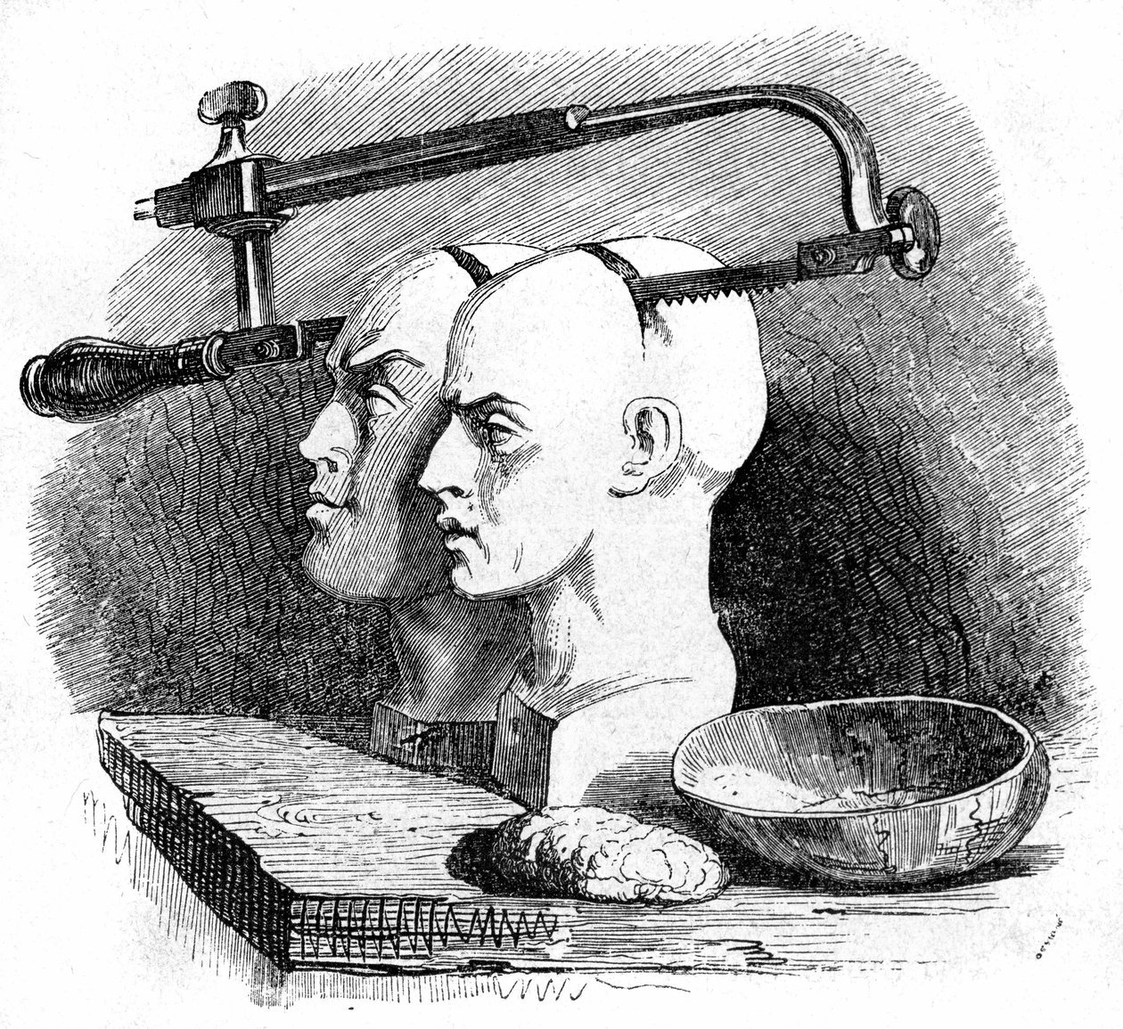 Illustrazione per 
