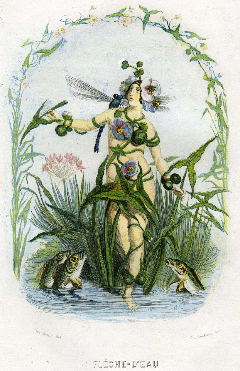 Illustrazione per 