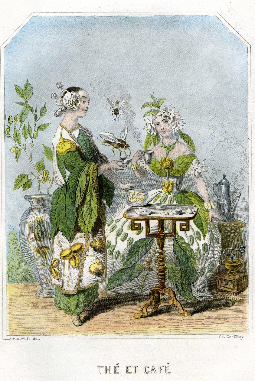 Illustrazione per 