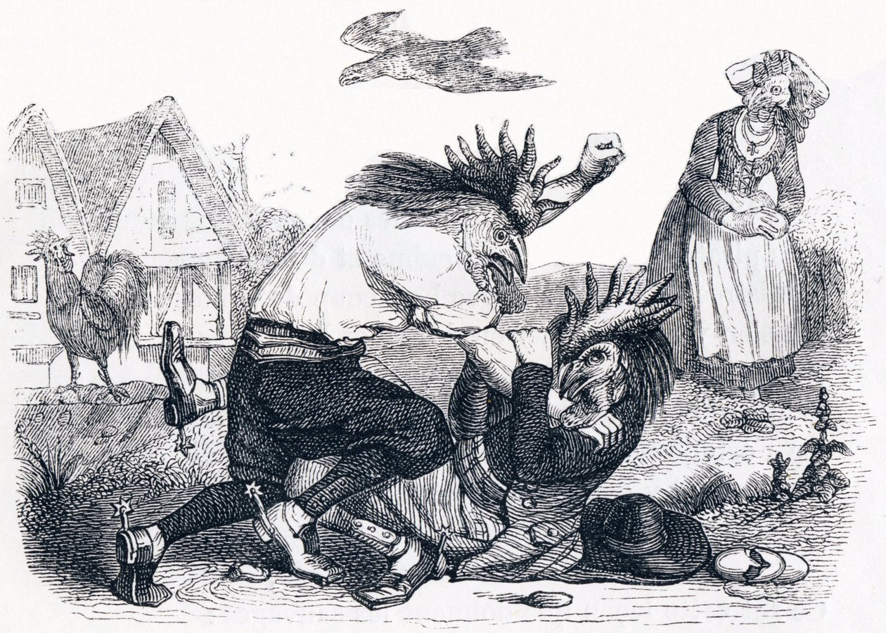 I due galli - Favole di La Fontaine da Grandville