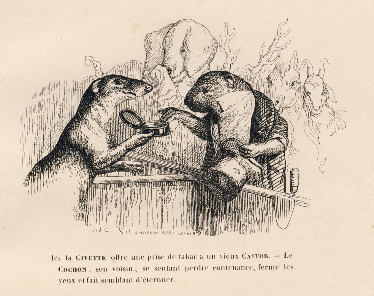 Una zibetto offre una presa di tabacco a un vecchio castoro, il maiale dietro di lui tenta di trattenersi. Vignette illustrate da JJ Granville. Incisione firmata Andrew Best e Leloir nel prologo intitolato "Résumé parlementaire" scritto da PJ Stahl in "Sce da Grandville
