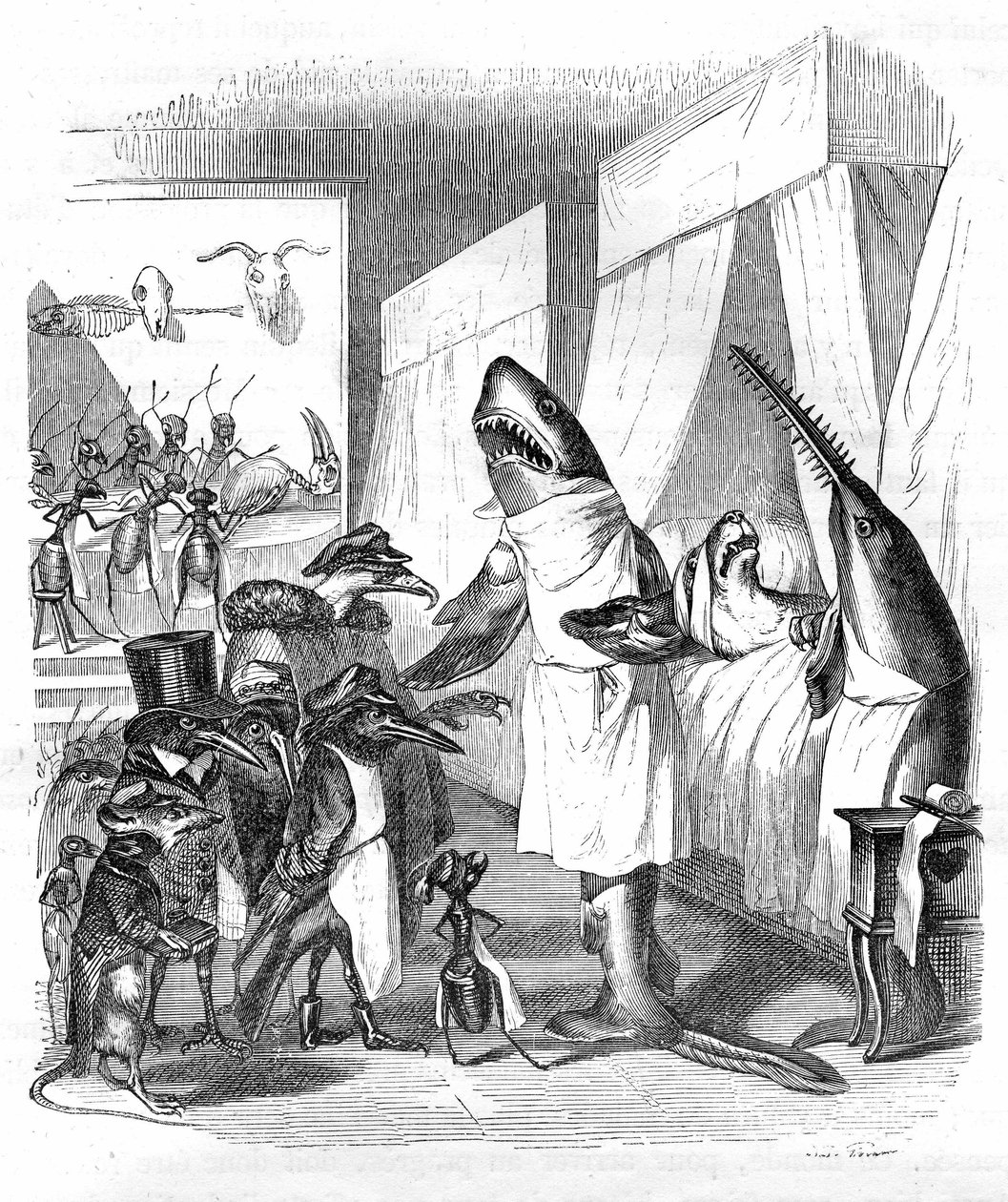 Cartone animato: Pesci - dottori: Incisione di Grandville, dal libro "Vita privata e pubblica degli animali (Les animaux peints par eux-mêmes)", edizione Hetzel 1867 p. 551 - Uno squalo e un pesce sega al capezzale di una persona malata a letto. da Grandville (1803 47)