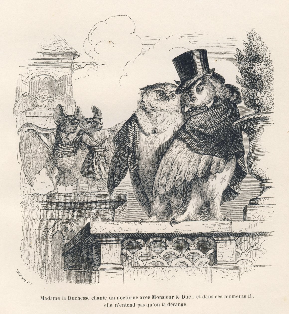 Pipistrello che ascolta una civetta e un gufo cantare. Vignette illustrate da JJ Granville. Incisione firmata Brevière nella parte intitolata "Souvenirs d