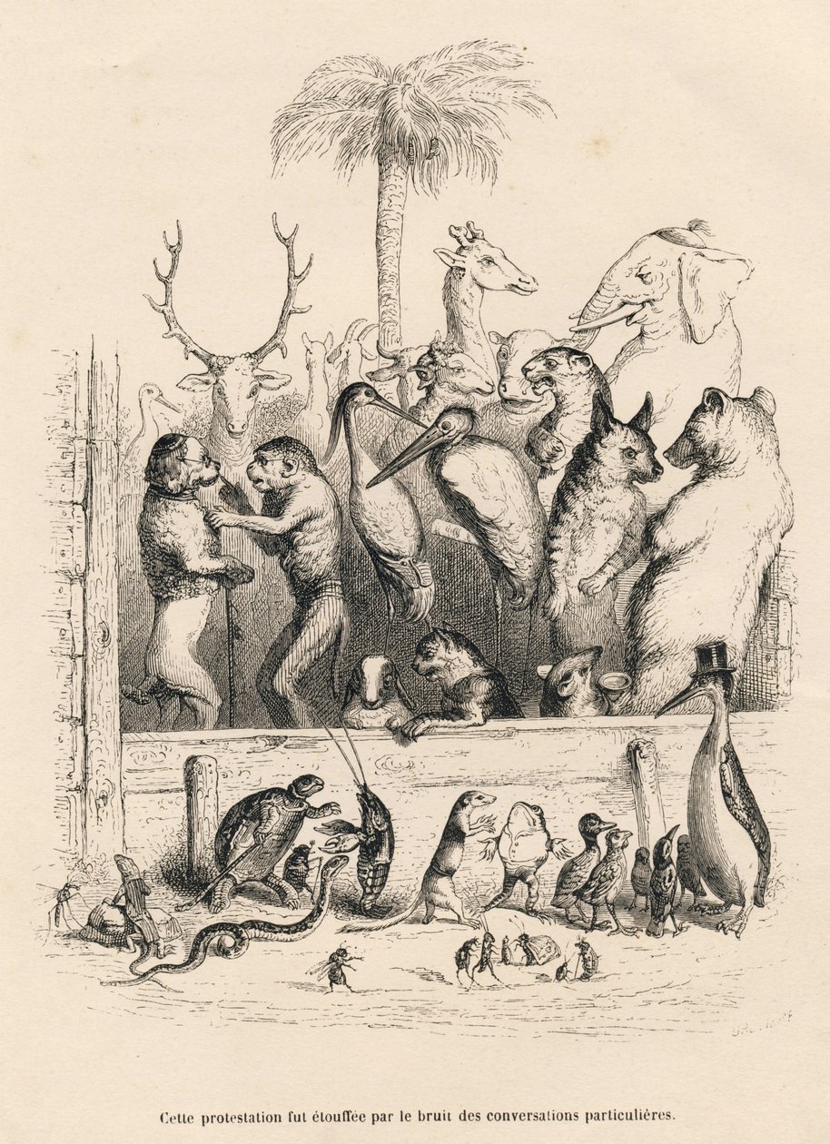 Conversazione tra animali da Grandville