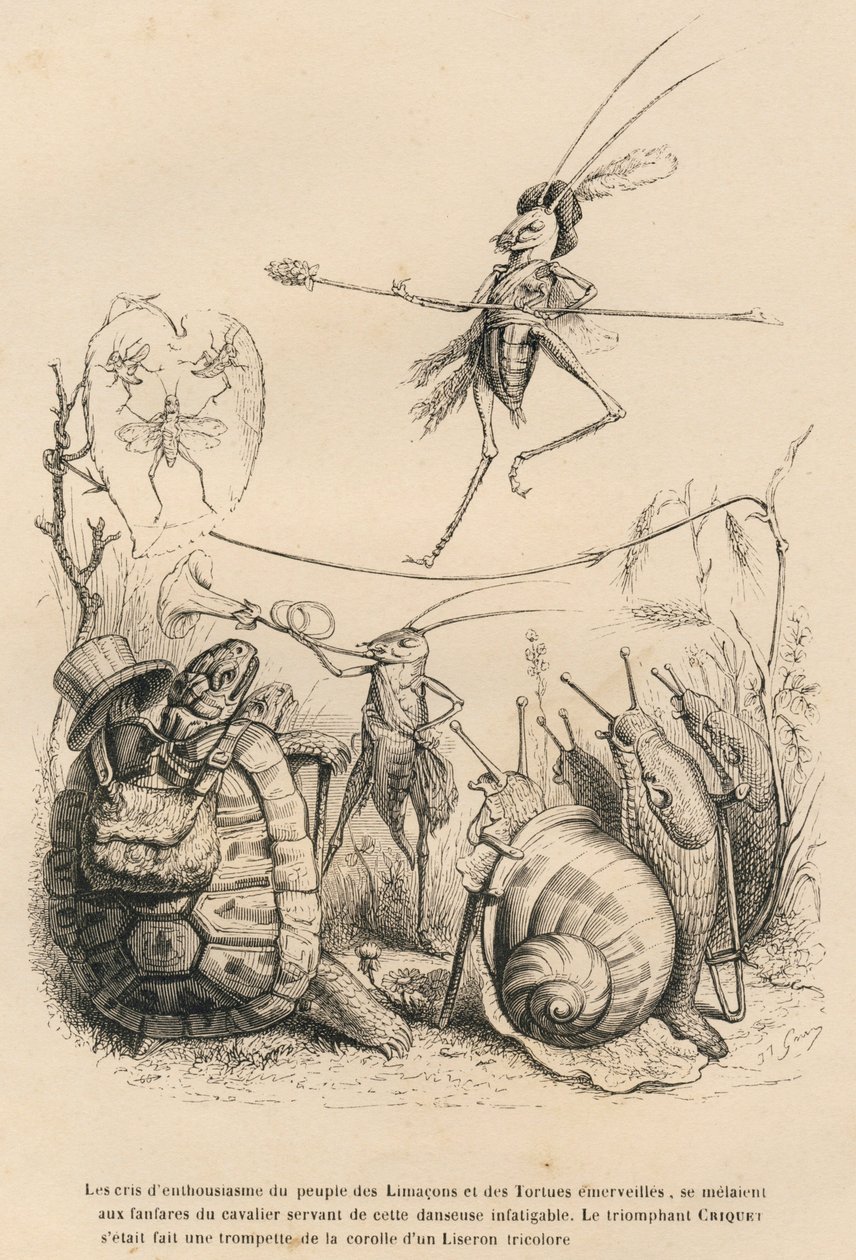 Grillo che suona la tromba davanti a una tartaruga, una lumaca e delle chiocciole. Sopra di lui un altro grillo in equilibrio su un filo. Vignette illustrate da JJ Granville. Incisione firmata Godard nella parte intitolata "Le avventure di una farfalla" da Grandville