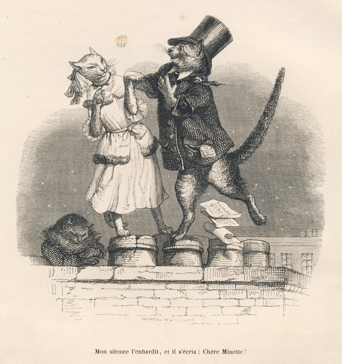 Due gatti che si seducono su un tetto. Vignette illustrate da JJ Granville. Incisione firmata Andrew, Best e Leloir nella parte intitolata "Pene di corte di una gatta inglese" scritto da Honoré de Balzac in "Scene della vita privata e pubblica degli animal da Grandville