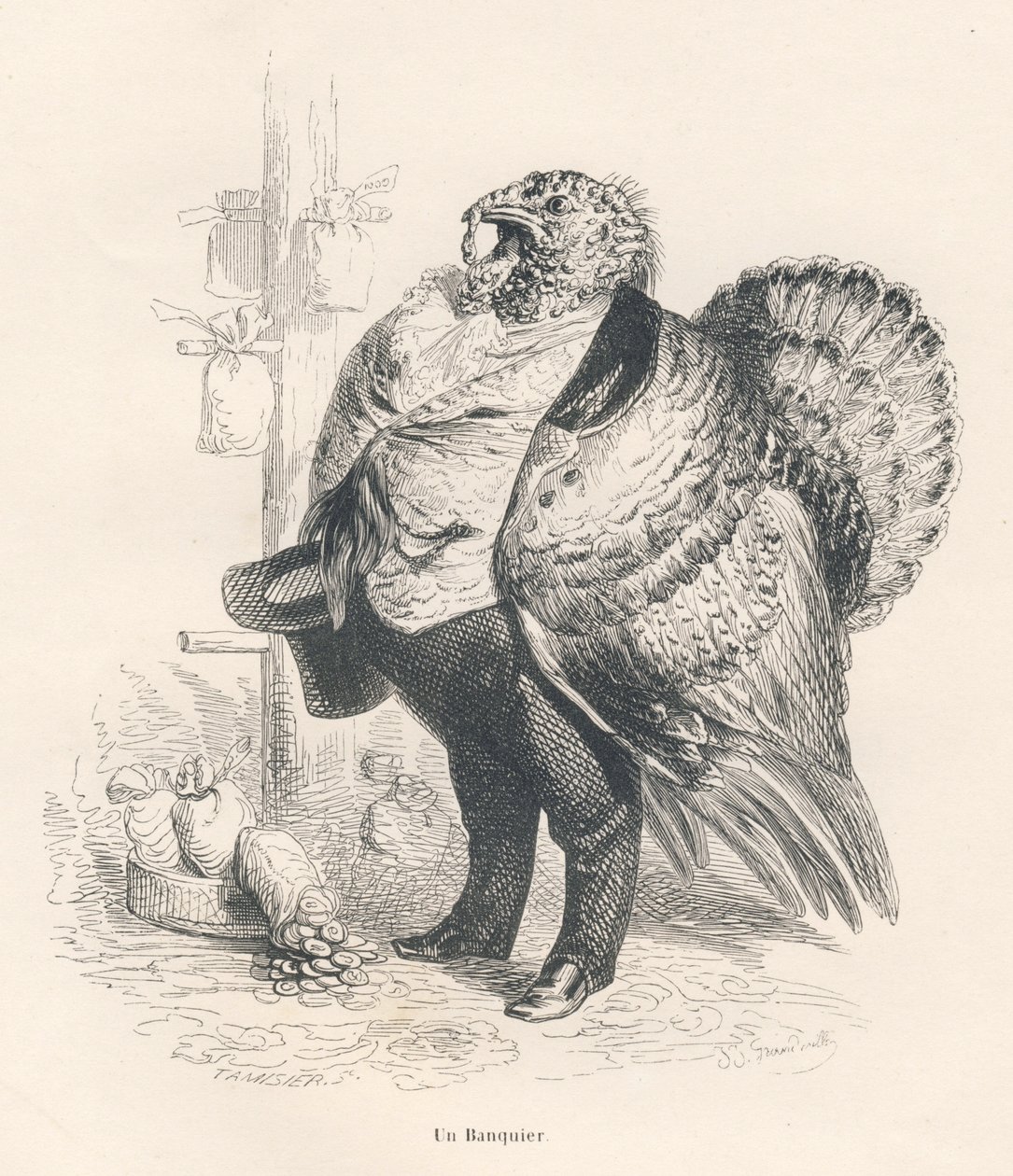 Tacchino in banchiere. Vignette illustrate da JJ Granville. Incisione firmata Tamisier nella parte intitolata "Ricordi di una vecchia cornacchia" scritto da PJ Stahl in "Scene della vita privata e pubblica degli animali". Parigi, J. Hetzel et Paulin da Grandville