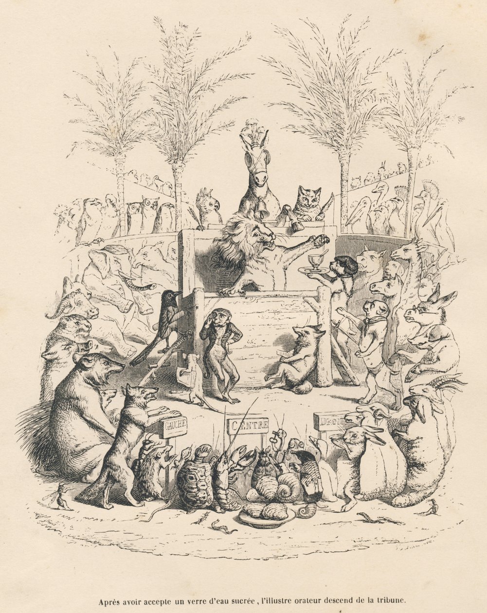 Discorso politico del leone in una tribuna circondato da tutti gli altri animali. Vignette illustrate da JJ Granville. Incisione firmata Godard nel prologo intitolato "Riassunto parlamentare" scritto da PJ Stahl in "Scene della vita privata e pubblica degl da Grandville