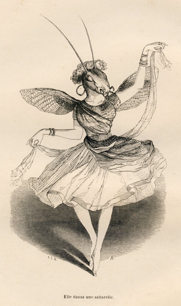 Lei danzò una saltarello. Vignette illustrate da JJ Granville. Incisione firmata Andrew, Best e Leloir nella parte intitolata "Le avventure di una farfalla" scritto da PJ Stahl in "Scene della vita privata e pubblica degli animali". Parigi, J. Hetzel e Pau da Grandville