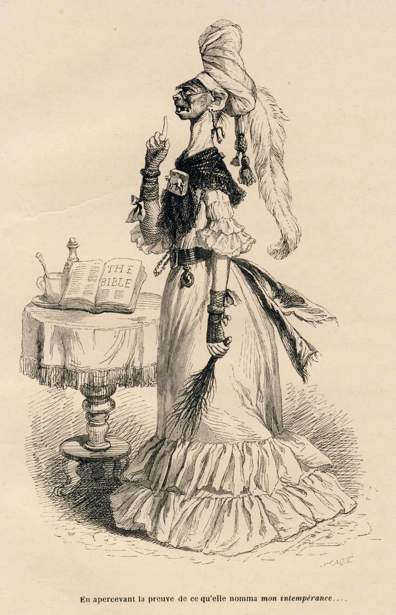 Vedendo la prova di ciò che chiamava la mia intemperanza da Grandville