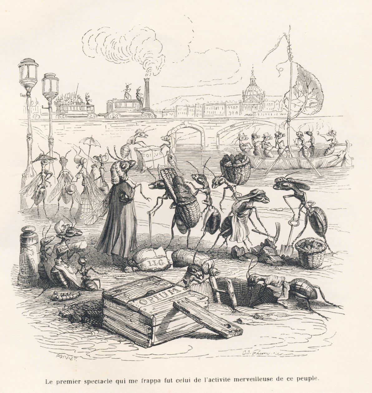 Formiche in piena attività sulle rive della Senna. Vignette illustrate da JJ Granville. Incisione firmata Porret nella parte intitolata "Viaggio di un passero di Parigi" scritto da George Sand in "Scene della vita privata e pubblica degli animali". Parigi da Grandville