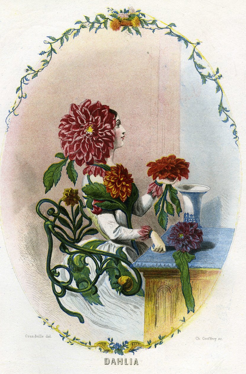 Illustrazione per 