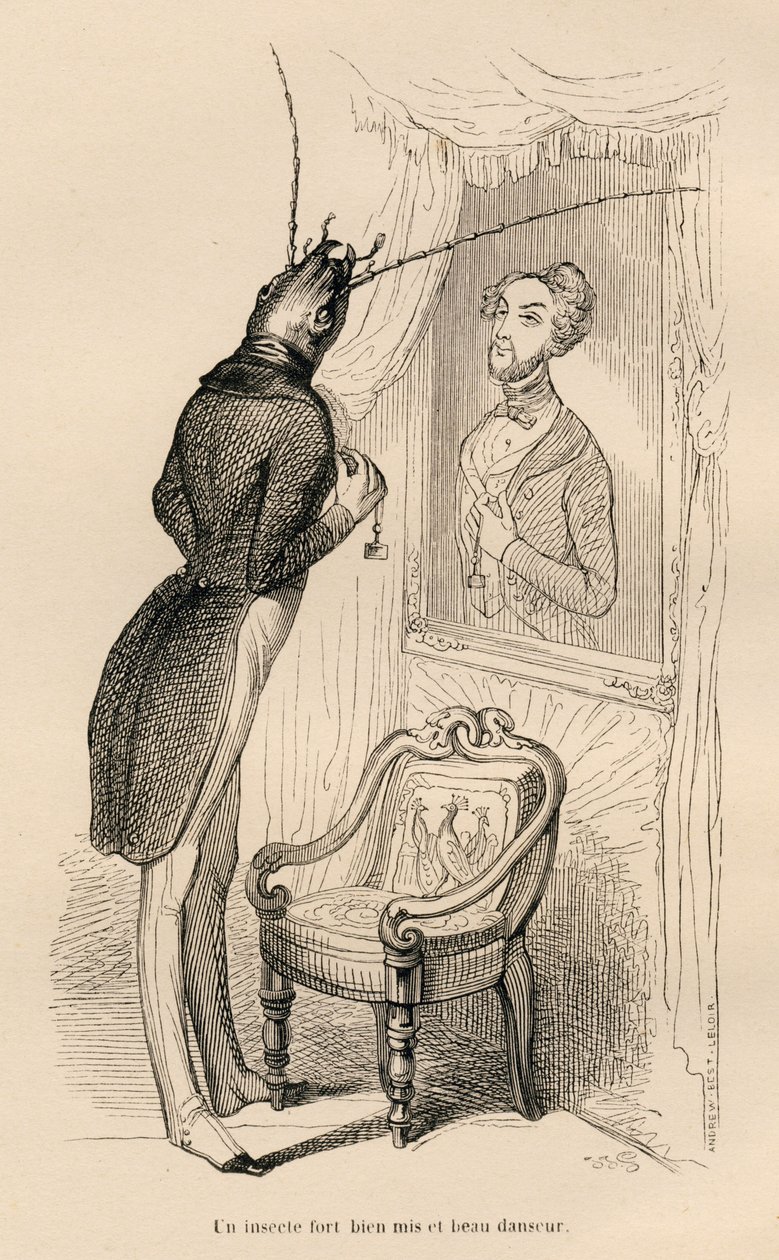 Insetto che guarda il suo riflesso umano nello specchio. Vignette illustrate da JJ Granville. Incisione firmata Andrew, Best e Leloir nella parte intitolata "Le avventure di una farfalla" scritto da PJ Stahl in "Scene della vita privata e pubblica degli an da Grandville