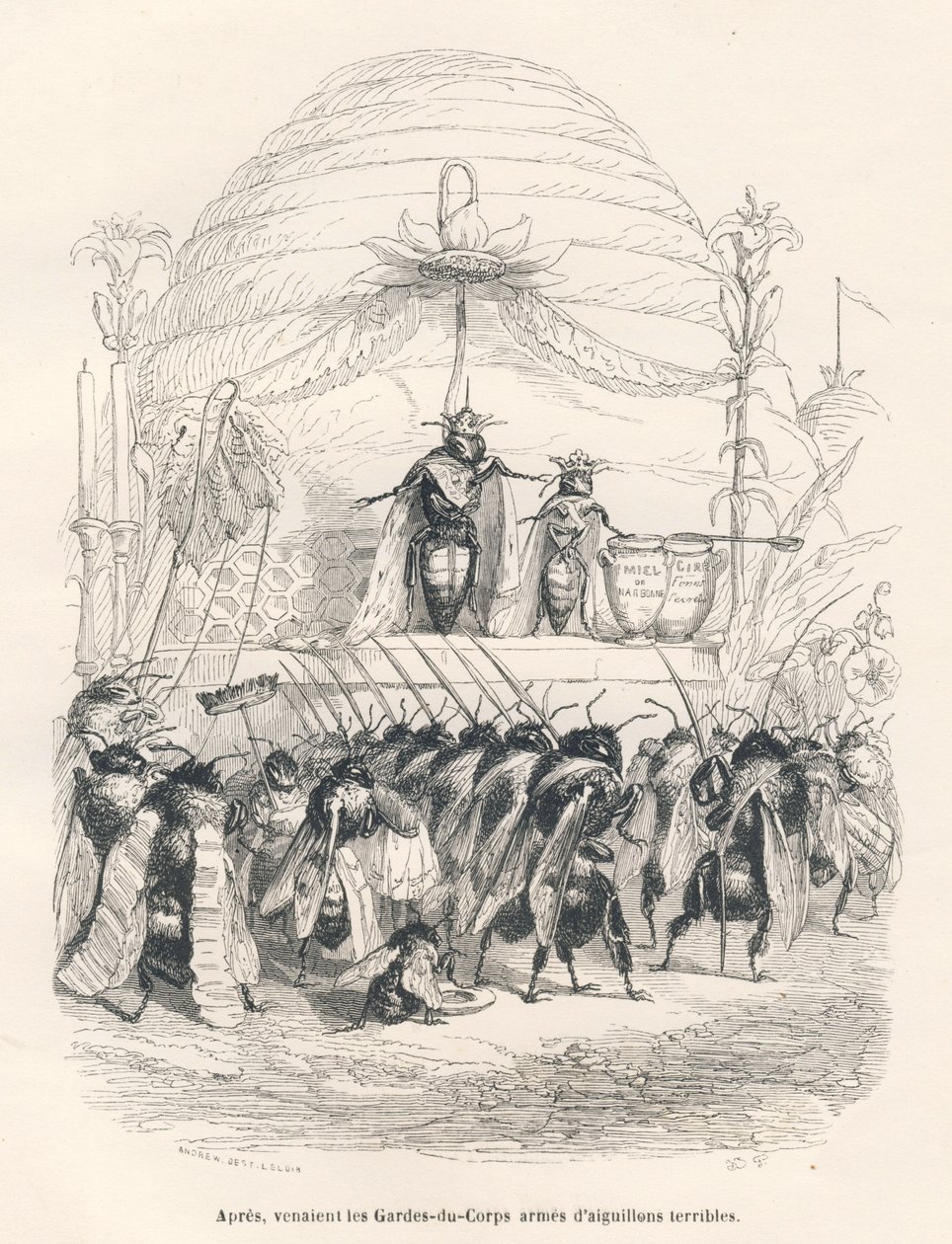 La regina delle api e il suo esercito. Vignette illustrate da JJ Granville. Incisione firmata Andrew, Best e Leloir nella parte intitolata "Viaggio di un passero di Parigi" scritto da George Sand in "Scene della vita privata e pubblica degli animali". Pari da Grandville