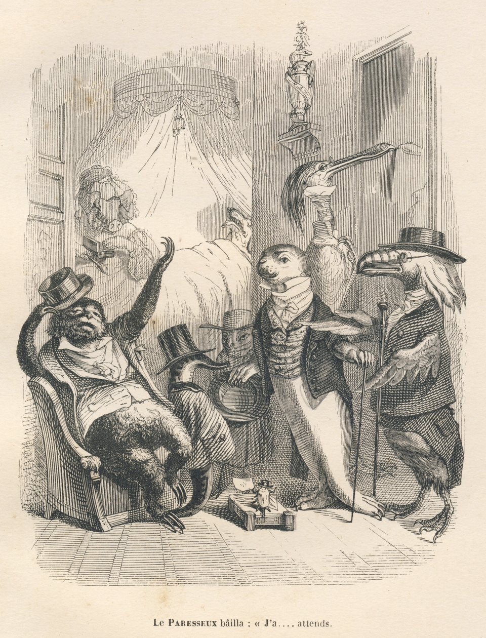 Il pigro sbadigliò mentre aspettava. Vignette illustrate da JJ Granville. Incisione firmata Godard nella parte intitolata "Gli animali medici" scritto da Pierre Bernard in "Scene della vita privata e pubblica degli animali". Parigi, J. Hetzel et Paulin da Grandville
