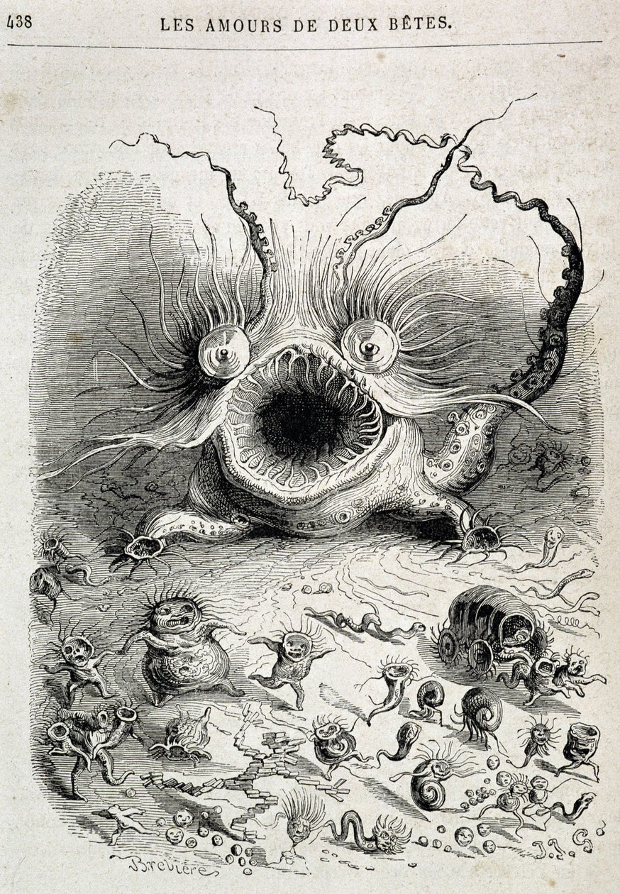 Les amours de deux bêtes (mostro spaventoso) - in "Animali dipinti da loro stessi: vita privata e pubblica degli animali" di Grandville, capitolo di Honoré de Balzac, ed. Hetzel da Grandville